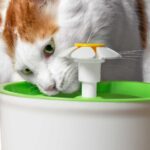 la-fontana-per-gatti-con-sensore-di-movimento-idratazione-naturale-per-il-vostro-amico-felino